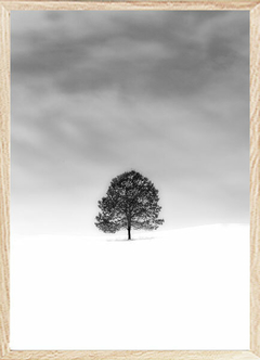 (162) ARBOL SOLITARIO - comprar online