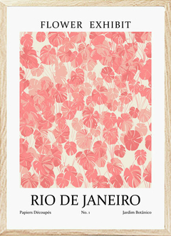 (1863) FLOWERS RIO DE JANEIRO