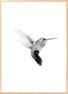 (237) COLIBRI - EMOTY Wall Deco