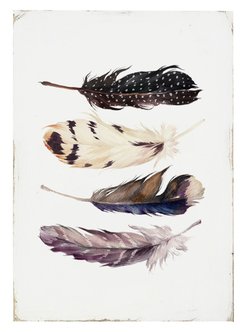 (327) 4 PLUMAS - EMOTY Wall Deco