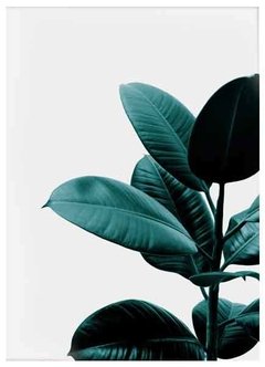 (331) FICUS HOJAS - EMOTY Wall Deco