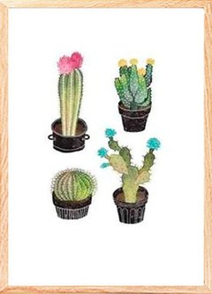 (34) CACTUS DIBUJO en internet