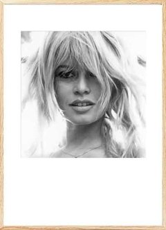 (526) BRIGITTE BARDOT en internet