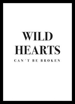 (531) WILD HEARTS