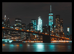 (639) NEW YORK LIGHTS - comprar online