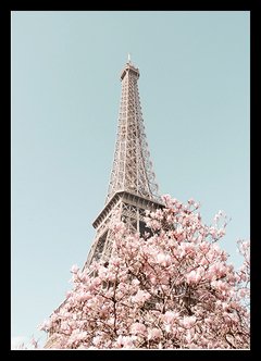 (756) TORRE PARIS
