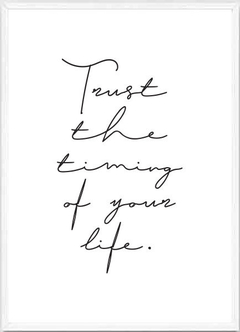 (937) TRUST THE TIMING - comprar online