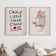 DUO CRAZY LOVE & LES FLEURS