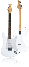 Pré Venda: Guitarra Fretlight FG-621 Sem Fio