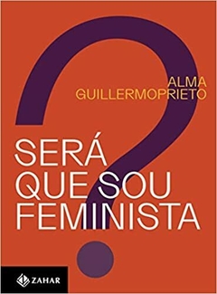 Será que sou feminista?