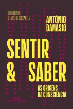 Sentir e Saber: as Origens da Consciência