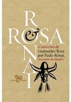 ROSA & RONAI: O UNIVERSO DE GUIMARAES...1ªED.(2020)