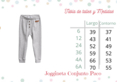 Conjunto Paco Gris