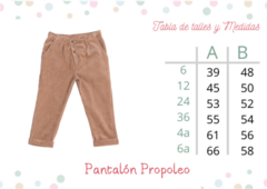 Pantalón Propóleo Camel - tienda online