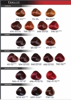 NRO 0.77 - Tintura en Crema - 1 + 1 1/2 - Pomo Fidelite - ▷ M.M Distribuidora Cosmética Capilar