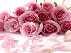 Aceite Esencial De Rosas Puro Envase De 15 Ml - comprar online