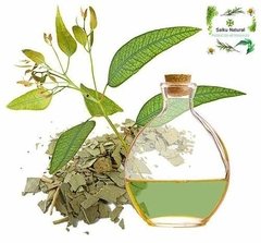 Aceite Esencial De Eucalipto Eucaliptus Envase 15ml - comprar online