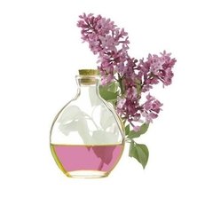Bases Aromaticas Semi Natural Violetas De Parma Envase 15ml - comprar online