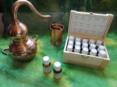 Aceite Esencial De Oregano Puro Por 15 Ml . saikucosmetologico - tienda online