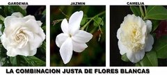 Aceite Esencial Flores Blancas