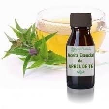 Aceite Esencial De Hojas De Te Verde Puro Envase De 15 Ml - comprar online