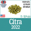 Lúpulo Citra en Pellets