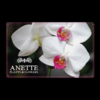 Gift Card Anette