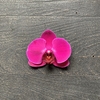 Imagen de Orquídea premium grande