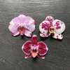 Orquídea premium grande - tienda online