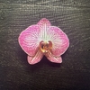 Orquidea en maceta Bola Rama - comprar online