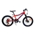 Bicicleta Raleigh Rowdy Rodado 20 Aluminio 7 Vel - comprar online