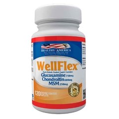 WellFlex Glucosamina, Condroitina, MSM x120 Caplets - Healthy America