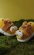 Pantufla infantil leoncito en internet