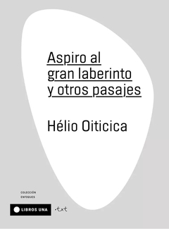 ASPIRO AL GRAN LABERINTO Y OTROS PASAJES - HÉLIO OITICICA - LIBROS UNA