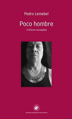 POCO HOMBRE - PEDRO LEMEBEL - EDICIONES UDP