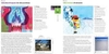 Guía turística en la tierra extrema - Mariano Ribas / Javier Basile - Iamiqué en internet