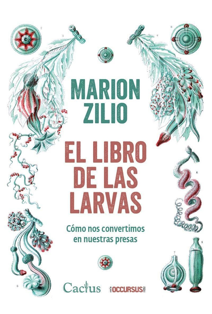 EL LIBRO DE LAS LARVAS - MARION ZILIO - CACTUS