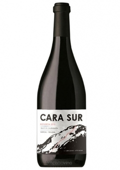 CARA SUR TINTO - comprar online