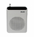 RADIO PORTATIL PARLANTE MEGAFONO BLUETOOTH RECARGABLE CON MICROFONO BRODU BTS-1383 en internet