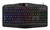 TECLADO GAMER REDRAGON HARPE PRO K503A-RGB-SP - comprar online