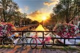 Quebra Cabeça Amsterdam 500 Pçs - Premium - Pais E Filhos - comprar online