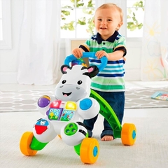 Apoiador Musical C/ Atividades Zebrinha Dlh48 - Fisher-Price na internet