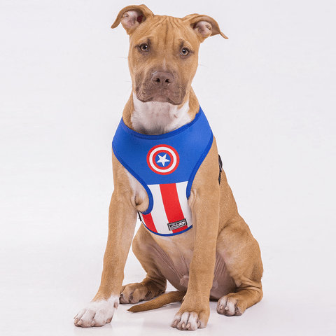 Captain america dog on sale toy