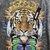 Remera Tigers Nevada (M/L) en internet