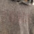Buzo Oversized (XL) FRIZA Washed Grey en internet