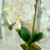 ORQUÍDEA ARTIFICAL - comprar online