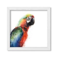 Cuadro Parrot - comprar online