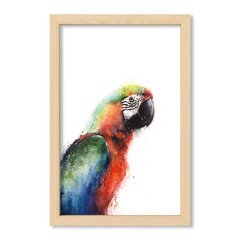 Cuadro Parrot