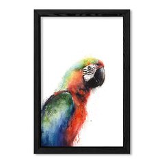 Cuadro Parrot en internet