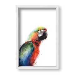 Cuadro Parrot - tienda online